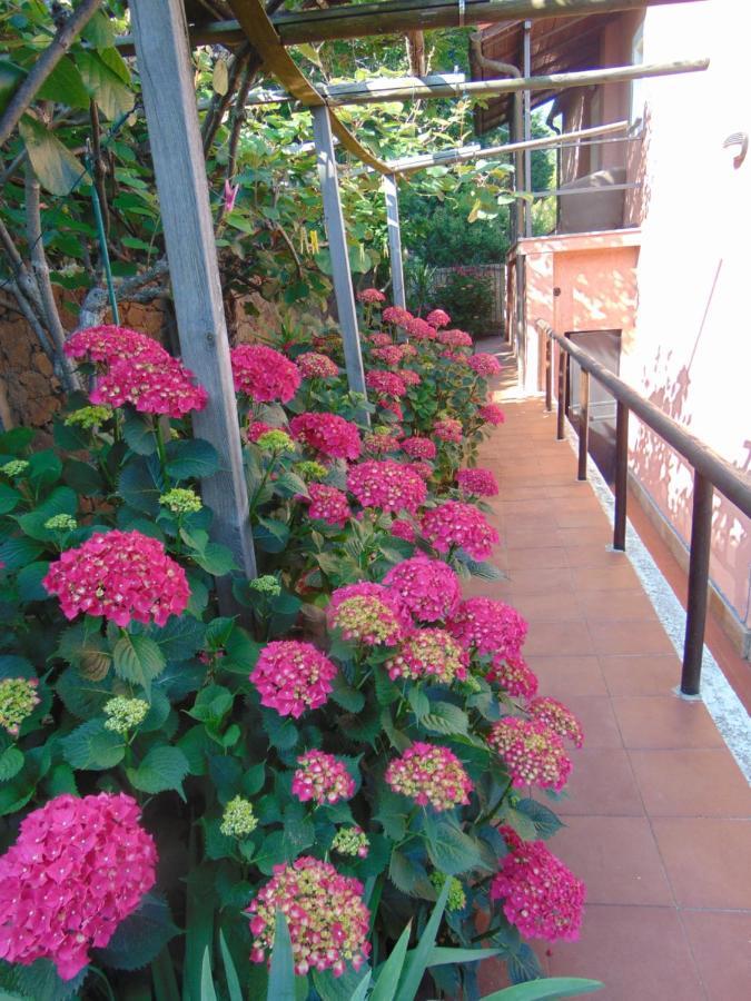 Casa Roberto B&B Savona Exterior photo