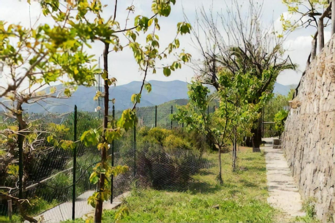 Casa Roberto B&B Savona Exterior photo